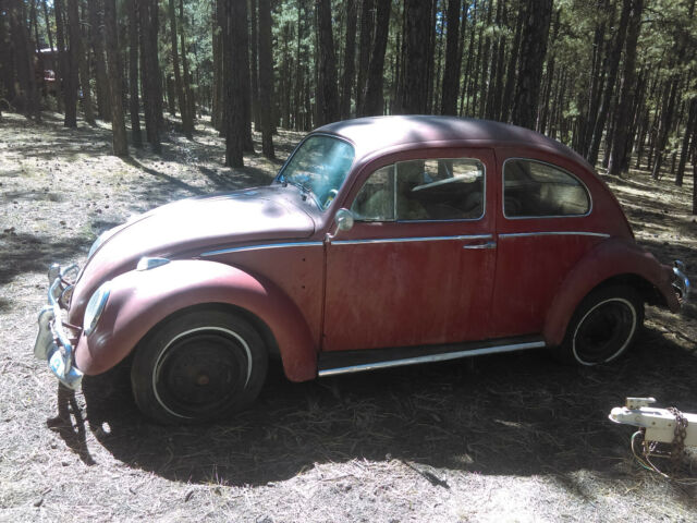 1959 Volkswagen Beetle - Classic - photo 11