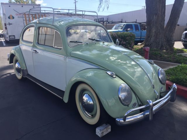Volkswagen Beetle 1961 1961 Volkswagen Beetle - Classic