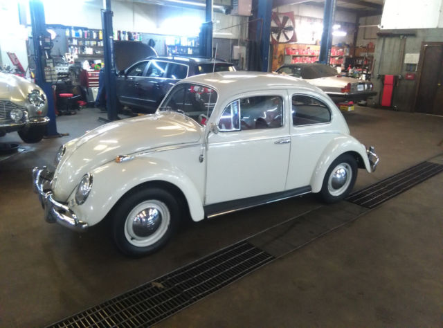 1964 Volkswagen Beetle - Classic - photo 13