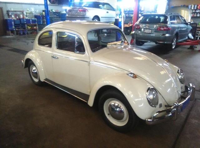 1964 Volkswagen Beetle - Classic - photo 2