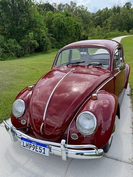 Volkswagen beetle 1967 classic vw bug 1967 Volkswagen Beetle - Classic
