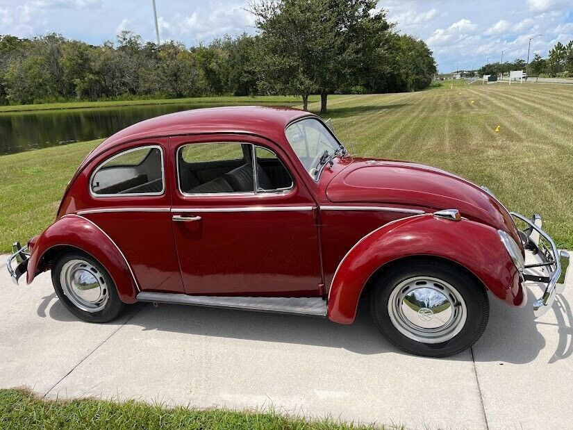 1967 Volkswagen Beetle - Classic - photo 3