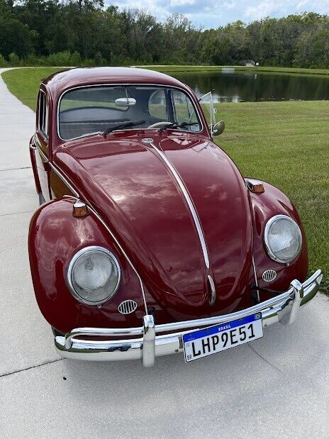 1967 Volkswagen Beetle - Classic - photo 4