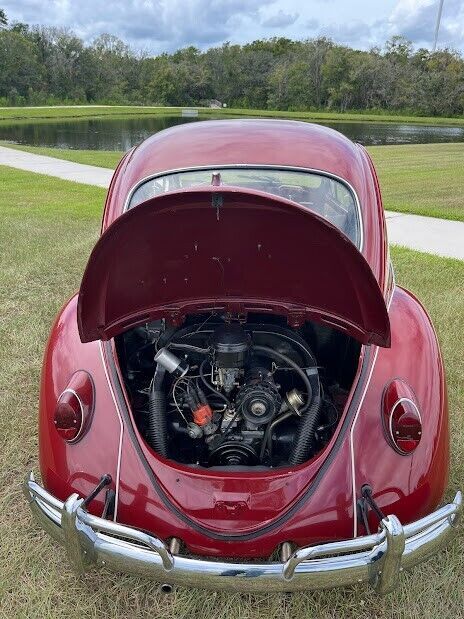 1967 Volkswagen Beetle - Classic - photo 5
