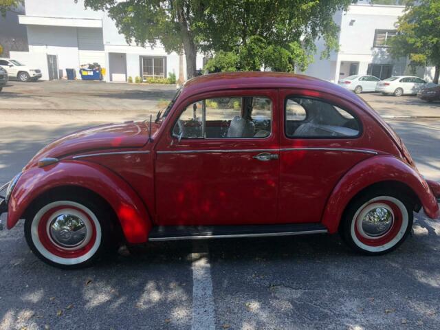 1961 Volkswagen Beetle - Classic - photo 2