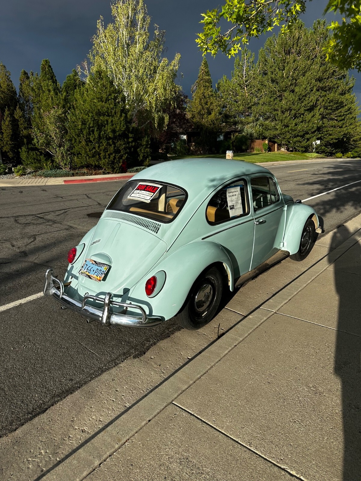 1966 Volkswagen Beetle - Classic - photo 3