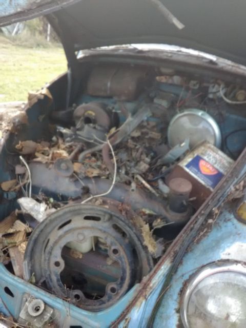 1963 Volkswagen Beetle - Classic - photo 7