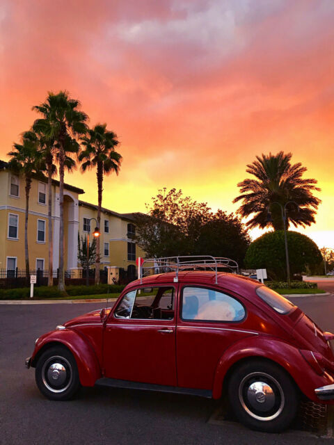 1969 Volkswagen Beetle - Classic - photo 2