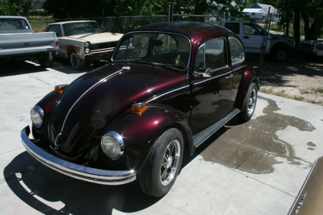 Volkswagen bug 1970 restored 1970 Volkswagen Beetle - Classic tan cloth