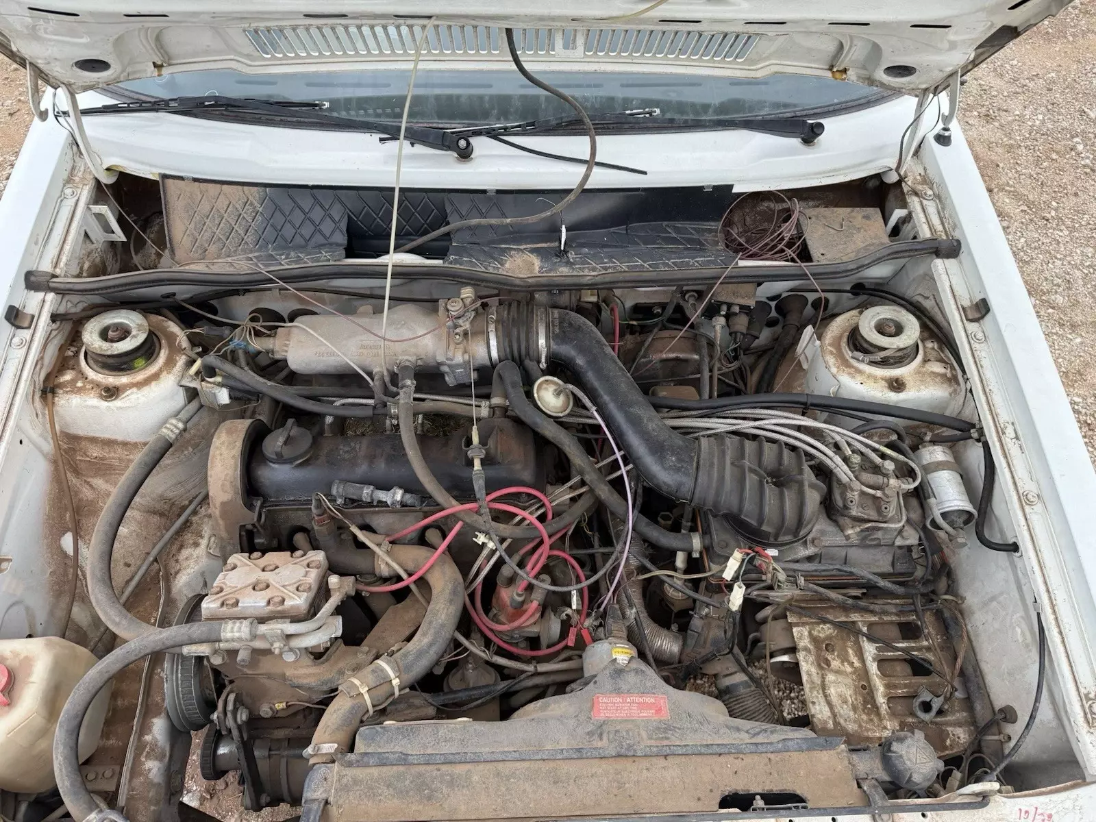 1983 Volkswagen Beetle - Classic - photo 5