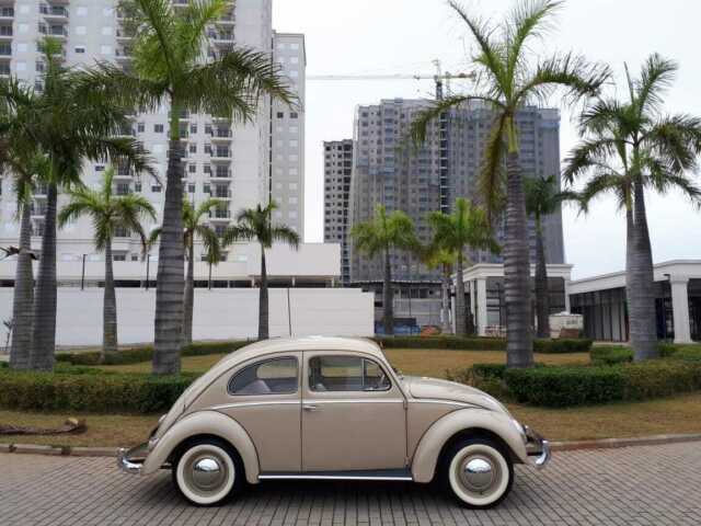 1954 Volkswagen Beetle - Classic - photo 2
