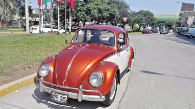 1966 Volkswagen Beetle - Classic