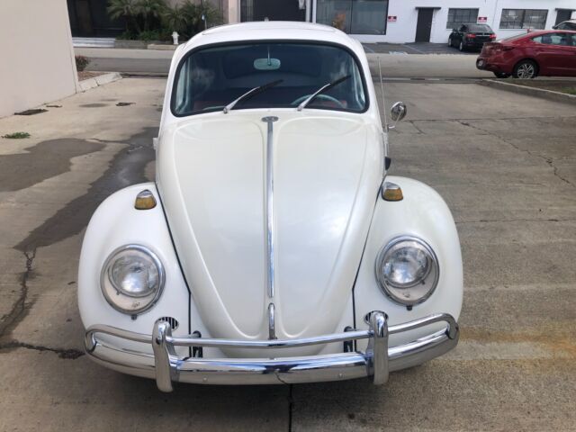 1966 Volkswagen Beetle - Classic - photo 4