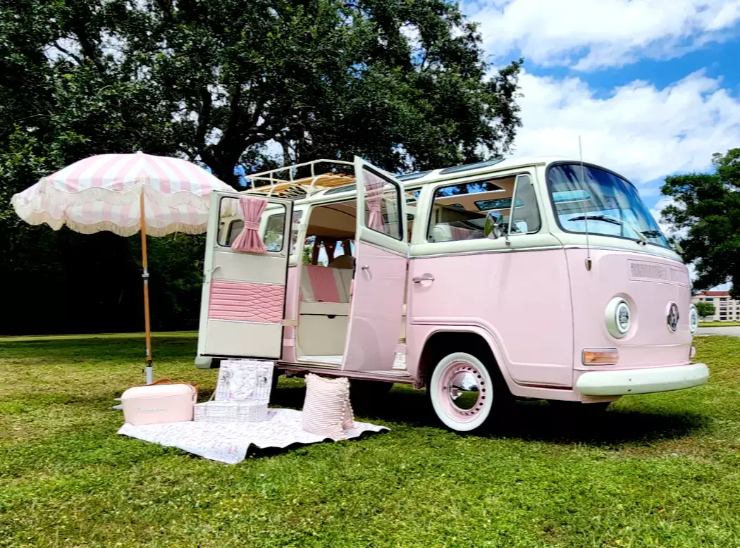 VW Bus Bay Window Custom with sky windows 1979 Volkswagen Bus/Vanagon Minivan