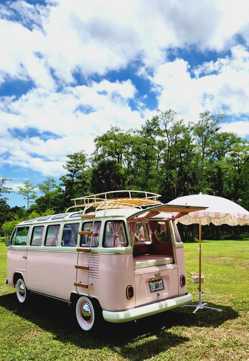 1979 Volkswagen Bus/Vanagon Minivan - photo 11