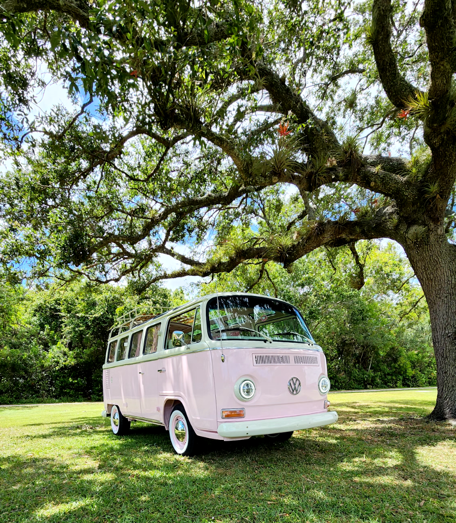 1979 Volkswagen Bus/Vanagon Minivan - photo 3
