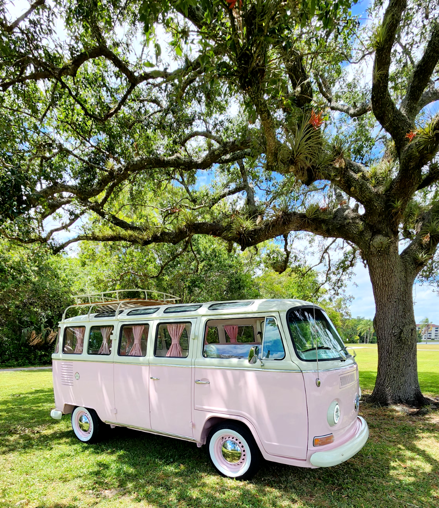 1979 Volkswagen Bus/Vanagon Minivan - photo 7