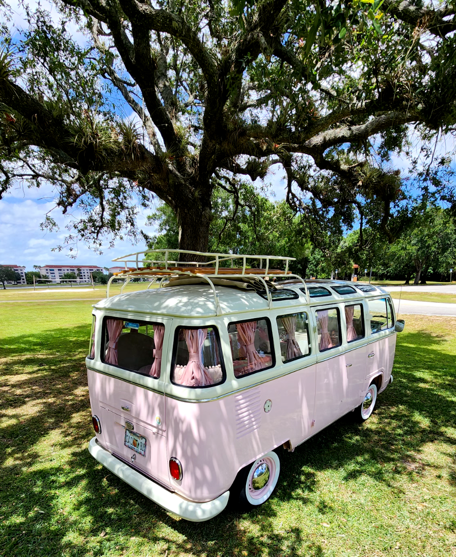 1979 Volkswagen Bus/Vanagon Minivan - photo 8