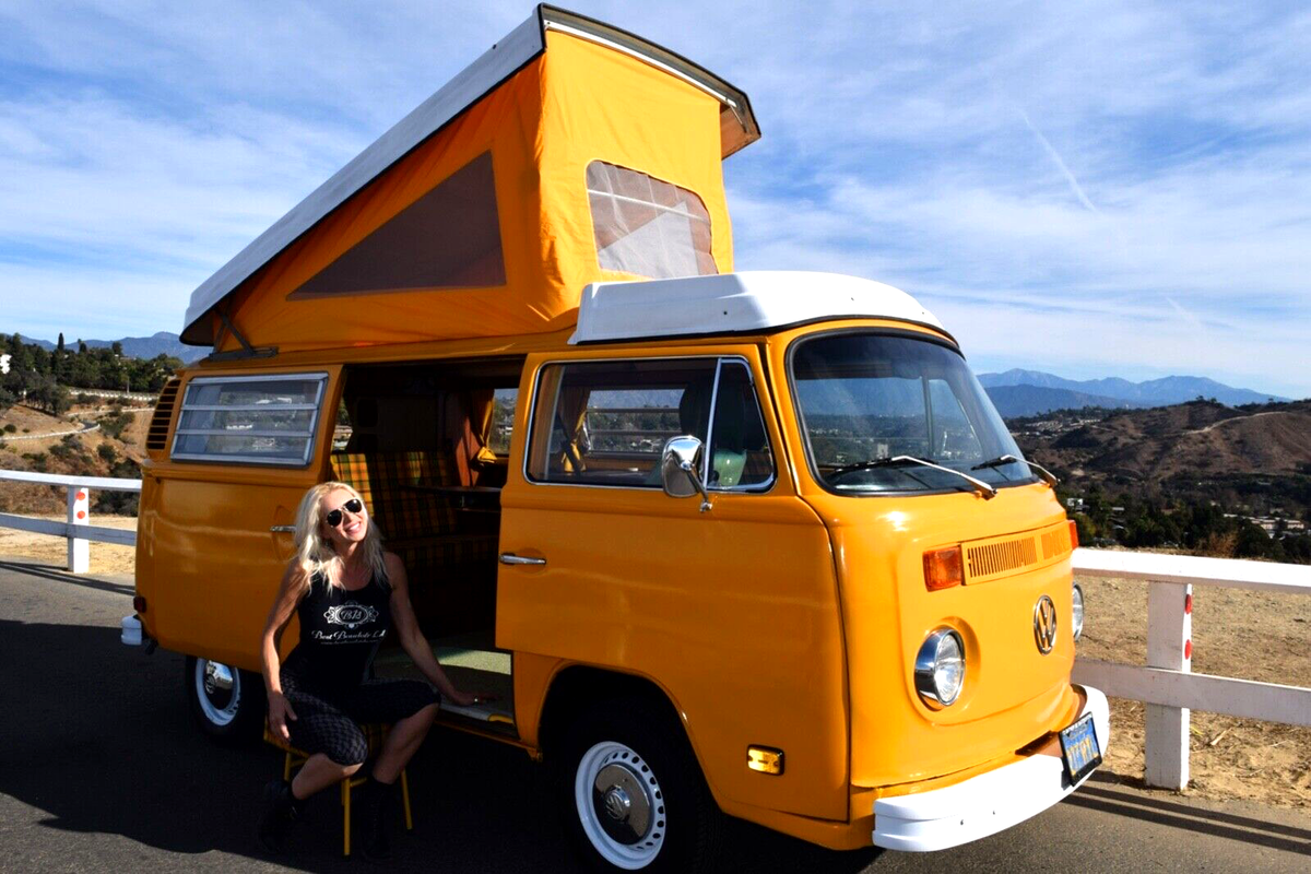 1977 Volkswagen Bus/Vanagon - photo 2