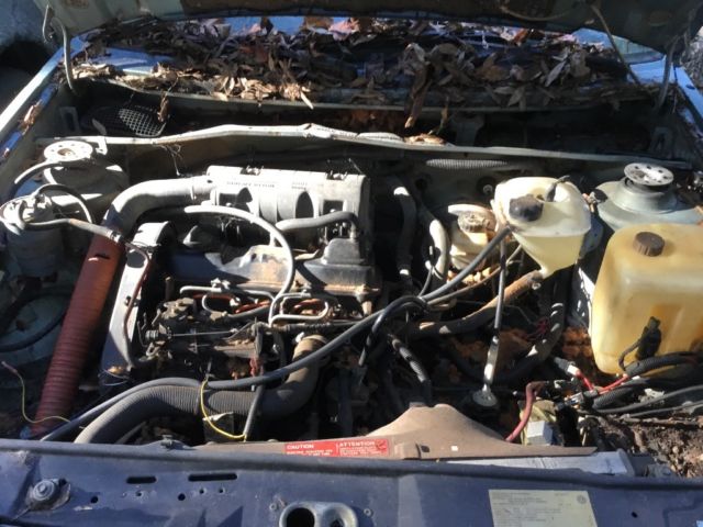 1985 Volkswagen Golf 2 and 4 door cars - photo 9