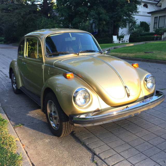 1974 Volkswagen Beetle - Classic Sunbug Special Edition - photo 2