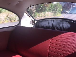 1974 Volkswagen Beetle - Classic - photo 6