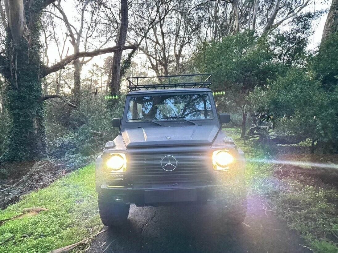 1991 Mercedes-Benz G-Class - photo 10