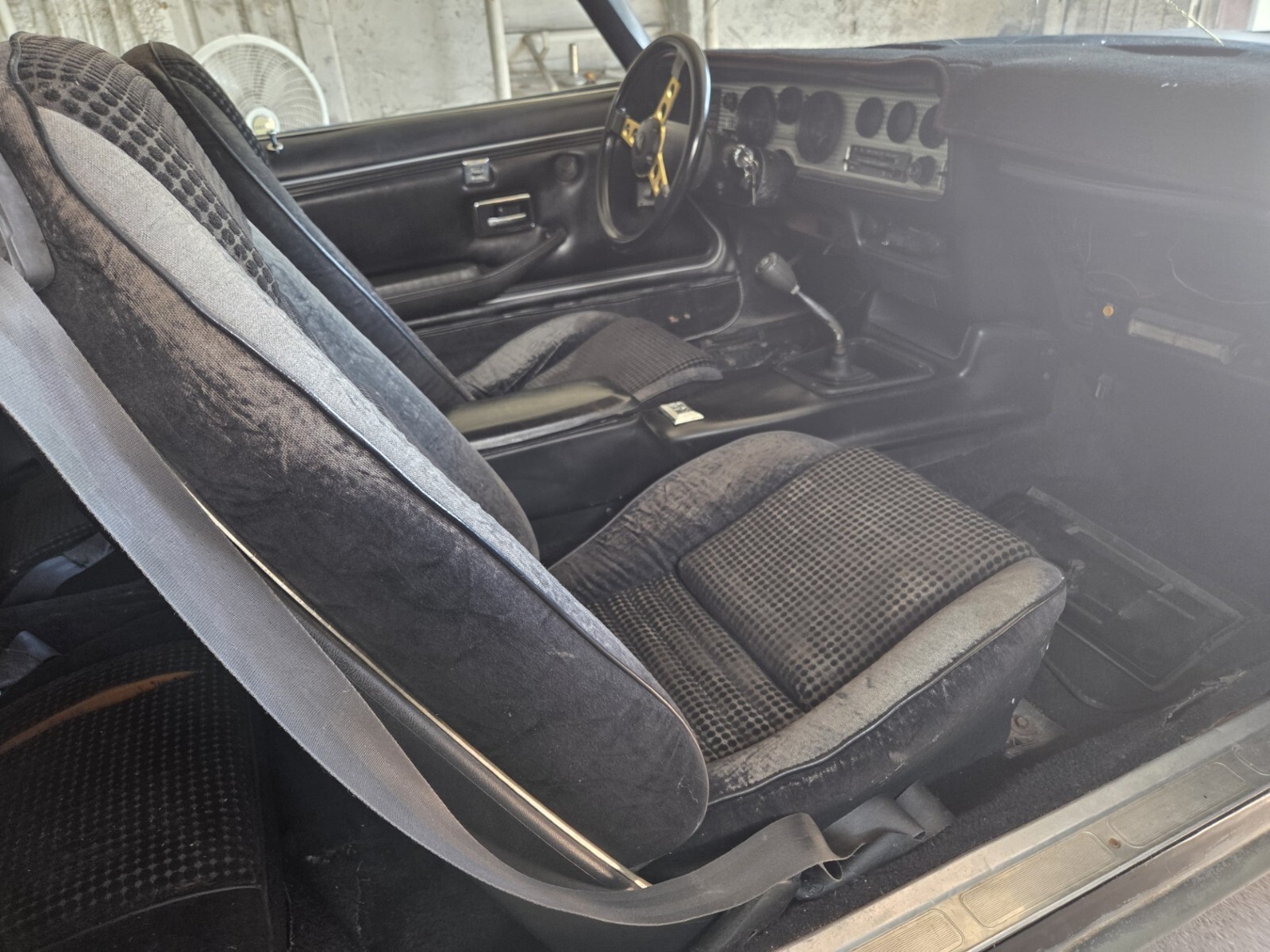 1979 Pontiac Trans Am - photo 6
