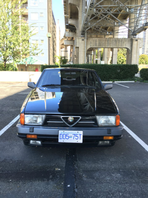 1989 Alfa Romeo Milano - photo 5