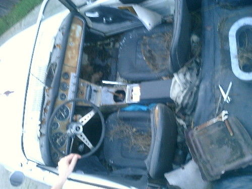 1966 Datsun Other - photo 2