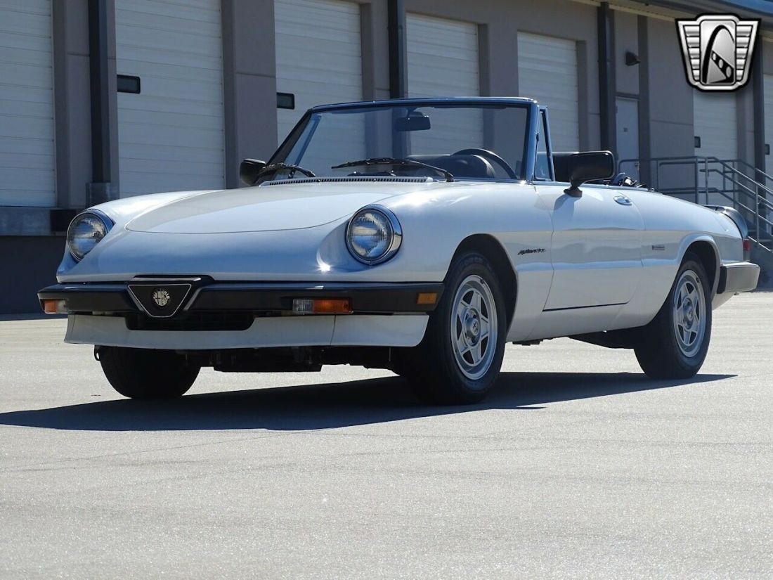 1990 Alfa Romeo Spider Veloce - photo 4