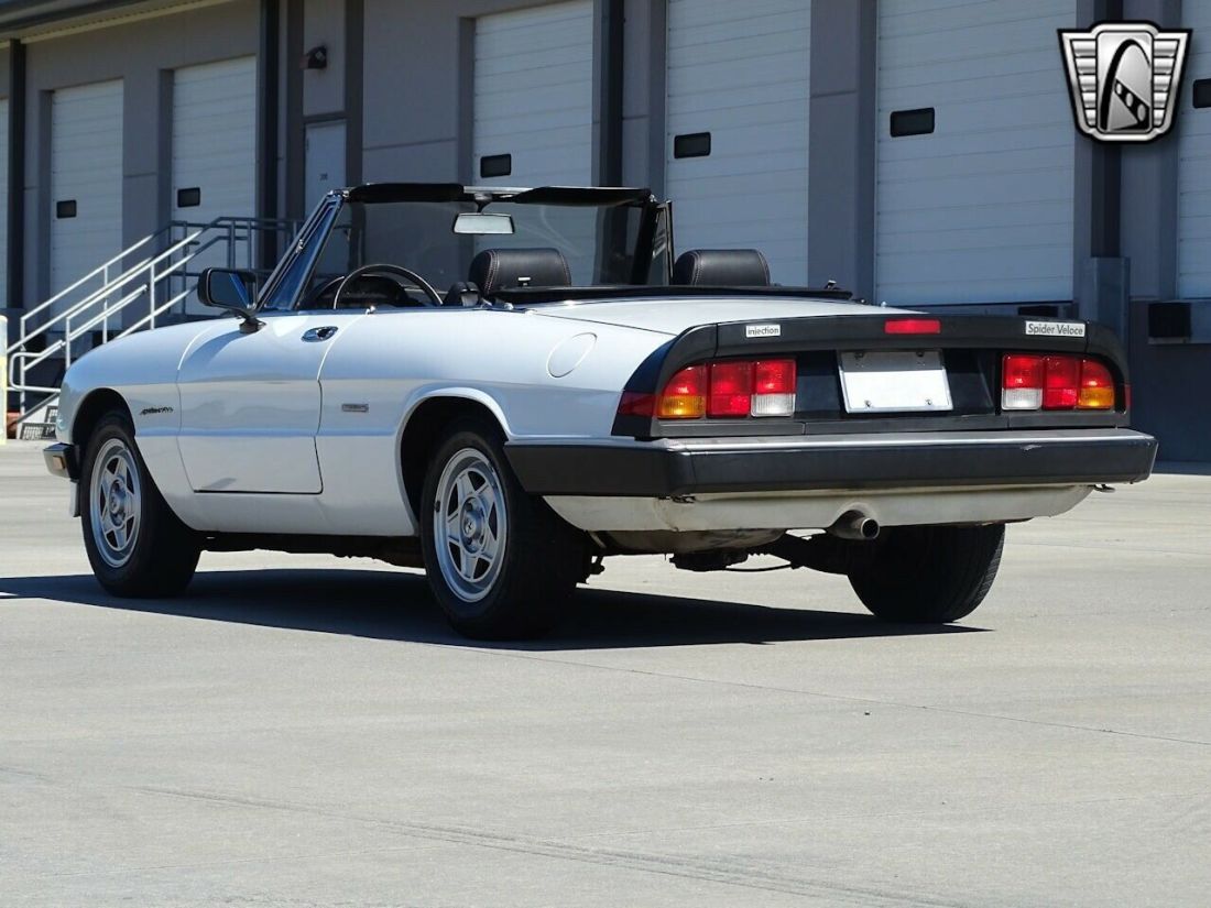 1990 Alfa Romeo Spider Veloce - photo 6