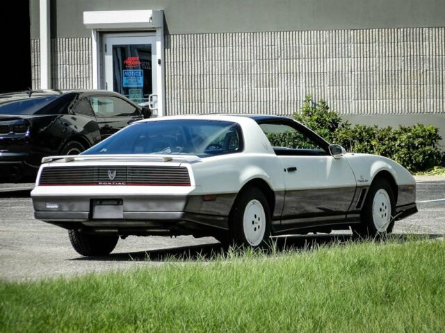 1983 Pontiac Trans Am Daytona 500 Pace CAR - photo 12