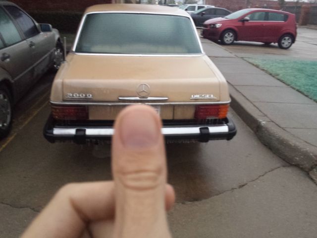 1976 Mercedes-Benz 300-Series - photo 10