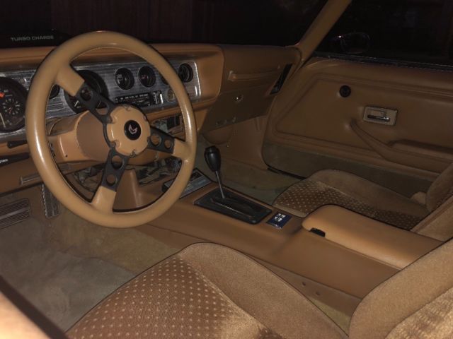 1980 Pontiac Trans Am Trans Am Turbo WS6 - photo 10