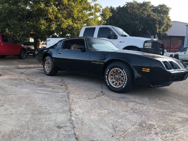 1980 Pontiac Trans Am Trans Am Turbo WS6 - photo 7