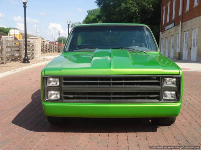 1985 Chevrolet C-10 SILVERADO 1500 - photo 12