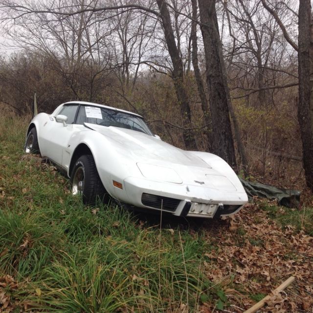 1979 Chevrolet Corvette - photo 2