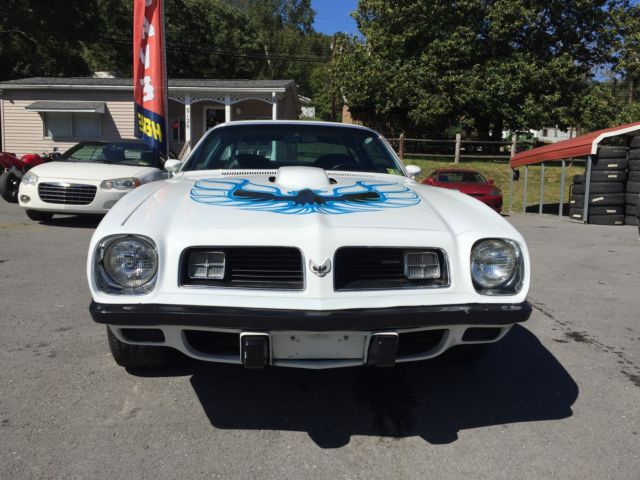 1975 Pontiac Firebird WS4 - photo 2
