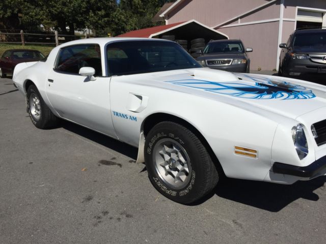 1975 Pontiac Firebird WS4 - photo 3
