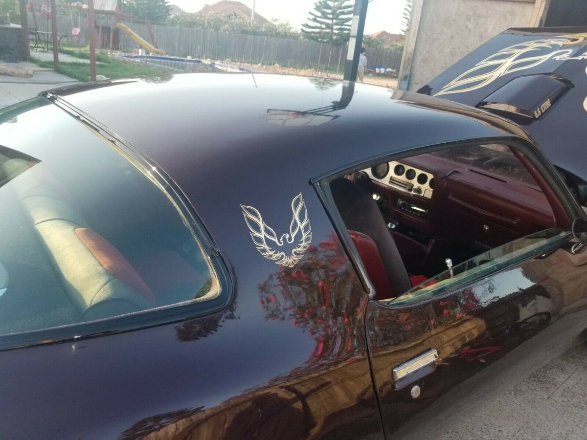 1979 Pontiac Trans Am - photo 11