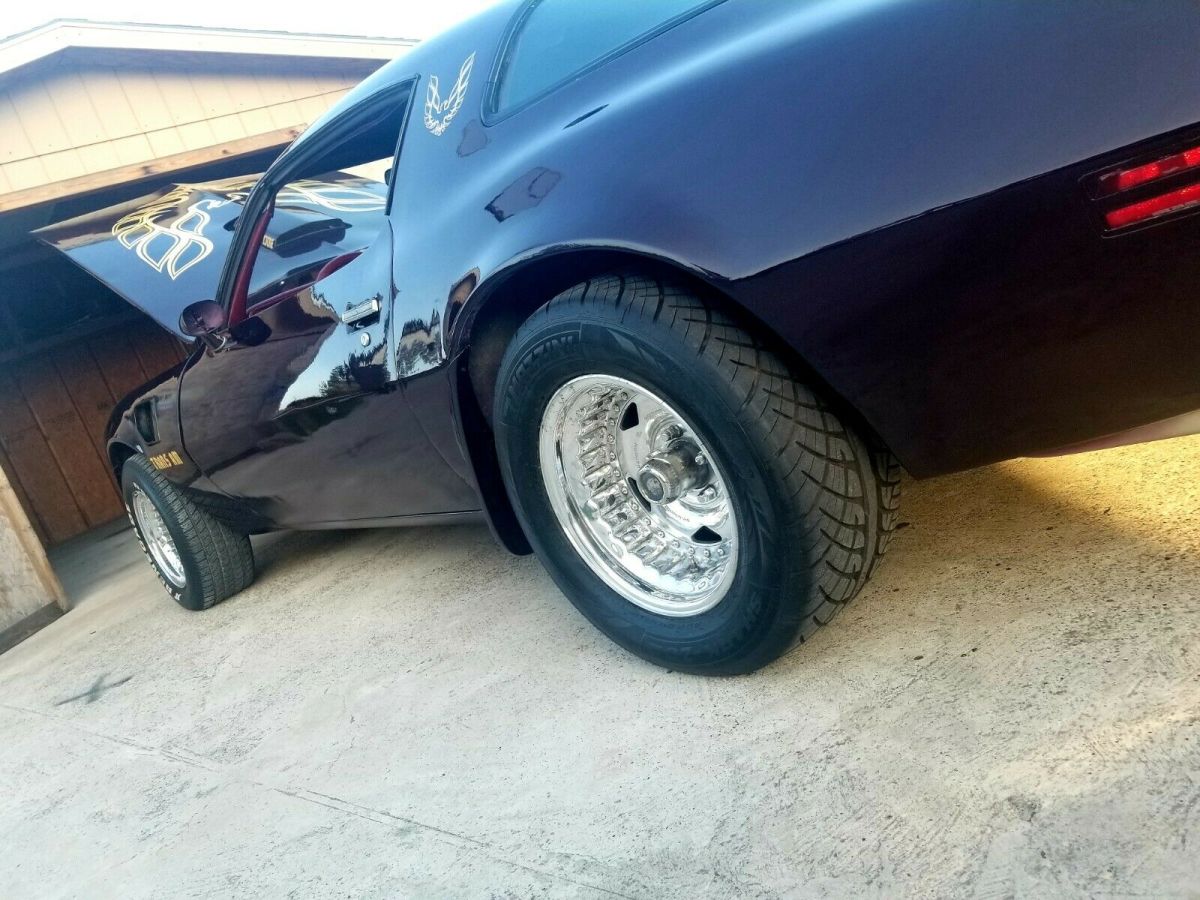 1979 Pontiac Trans Am - photo 12