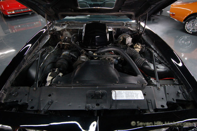 1979 Pontiac Trans Am Y84 Special Edition - photo 10
