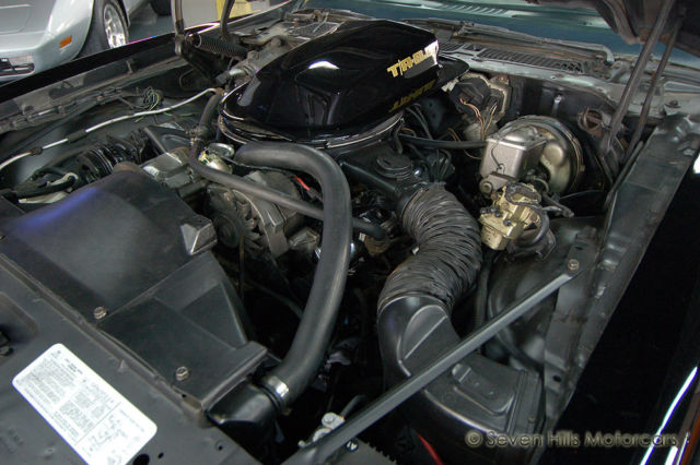 1979 Pontiac Trans Am Y84 Special Edition - photo 11