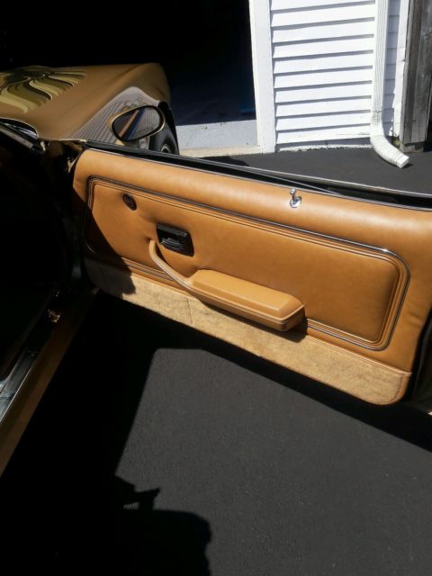 1979 Pontiac Trans Am TRANS AM - photo 12