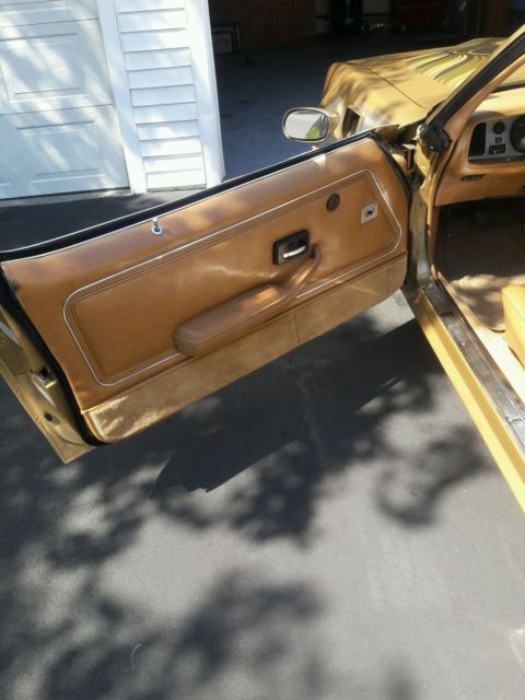 1979 Pontiac Trans Am TRANS AM - photo 13