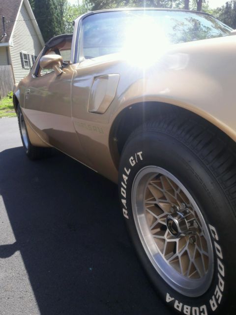 1979 Pontiac Trans Am TRANS AM - photo 3