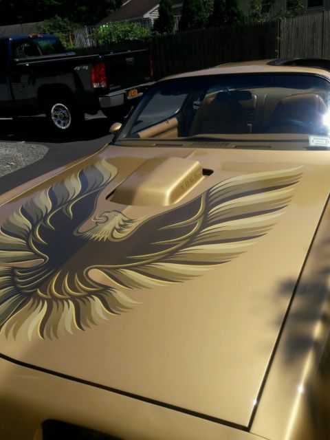 1979 Pontiac Trans Am TRANS AM - photo 4