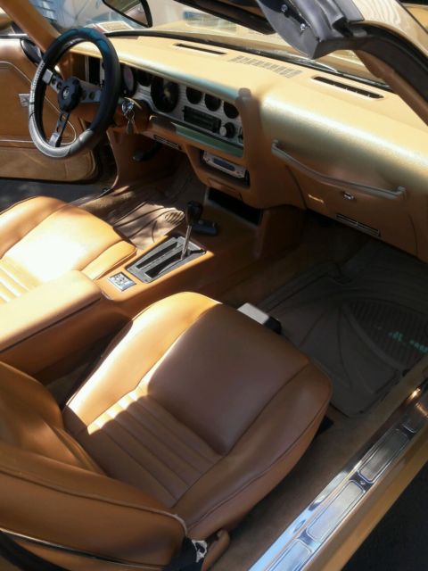 1979 Pontiac Trans Am TRANS AM - photo 9