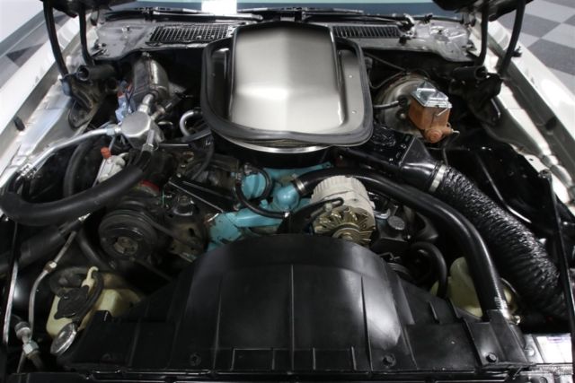 1979 Pontiac Firebird Trans Am 10th Anniversary Edition - photo 4